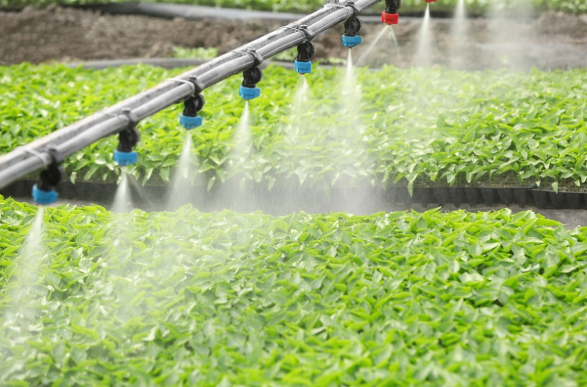 NIBULON’s agricultural division cuts water consumption by 34% after equipment upgrade