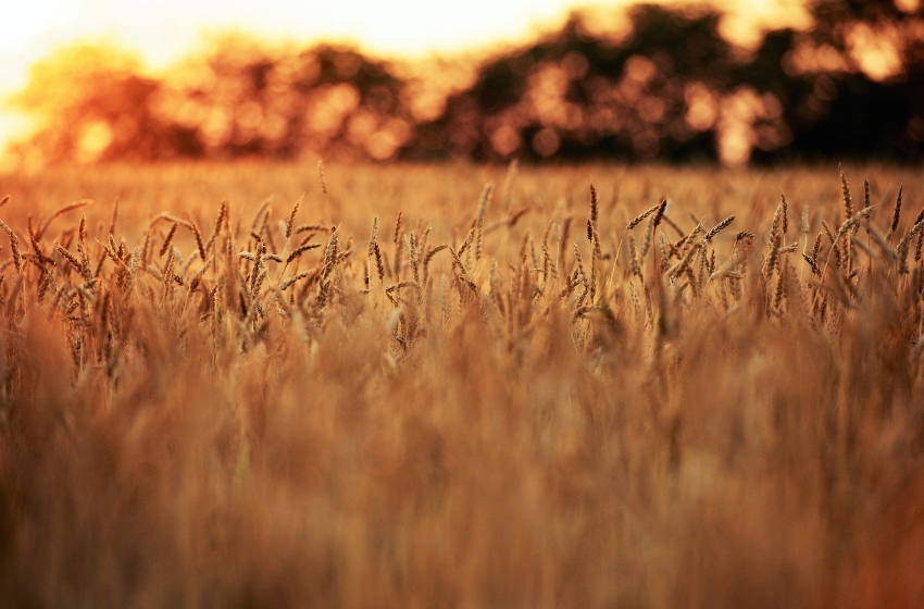 The agricultural community is once again urging Zelensky to sign the law on loan payment holidays