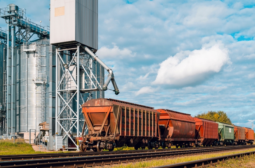 Nibulon: Transshipment capacities in Ukraine are now twice as large as the amount of grain