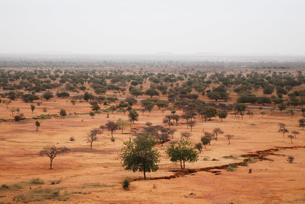 RLI: Russia controls the key resources of the Sahel countries
