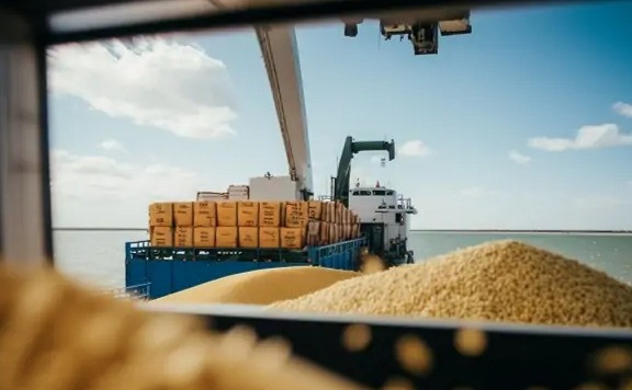 Foreign Intelligence Service: Russia is losing its status as the world’s largest agricultural exporter