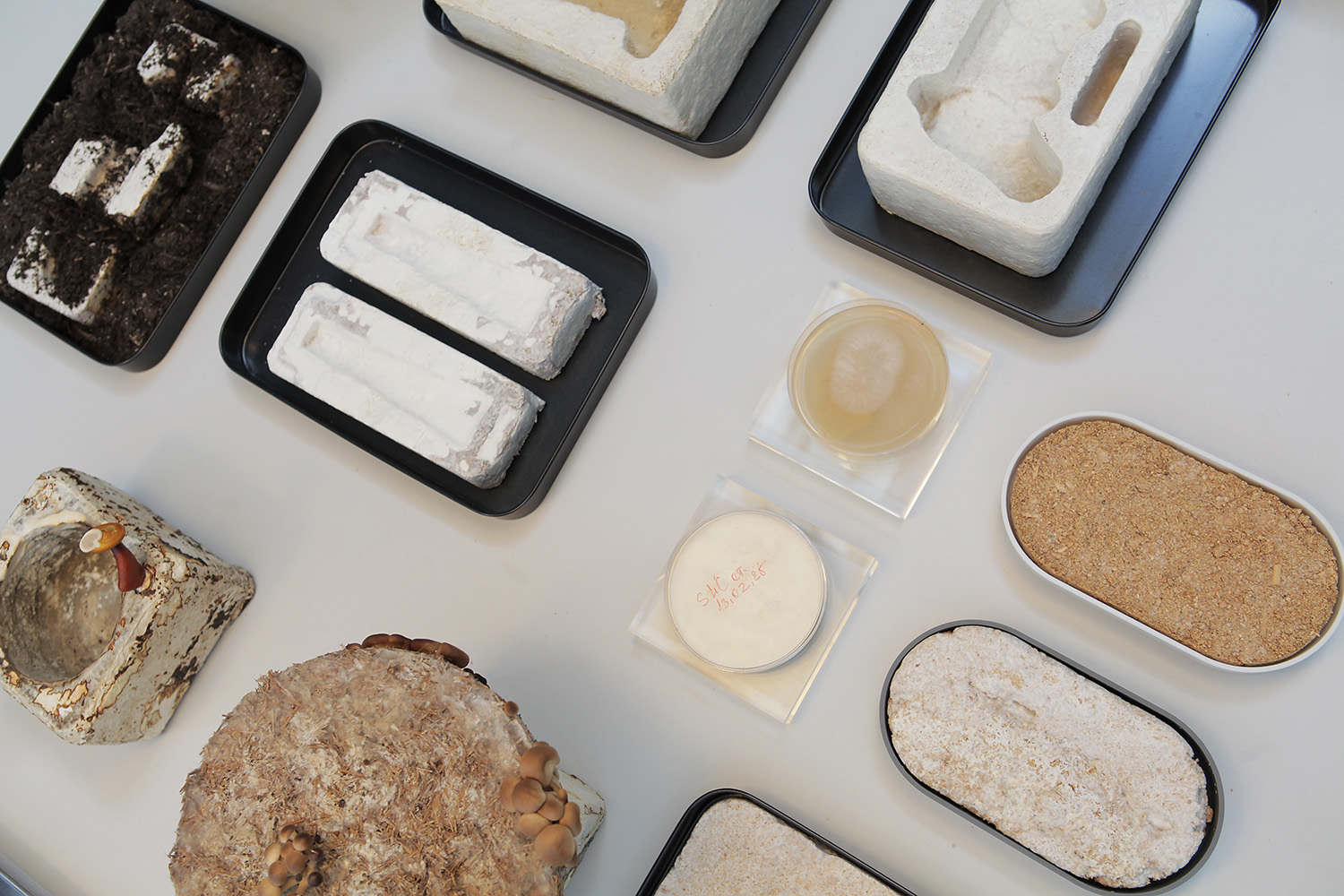 Ukrainian startup S.Lab raises £250,000 from Morgan Stanley for eco-friendly packaging