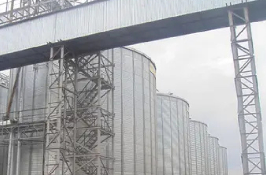 2 large grain elevator complexes have been put up for sale in the Odessa region