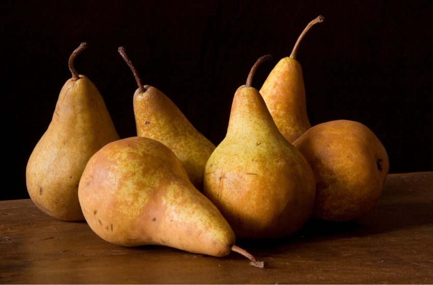 Dnipro UApples exports pears to the Middle East for the first time