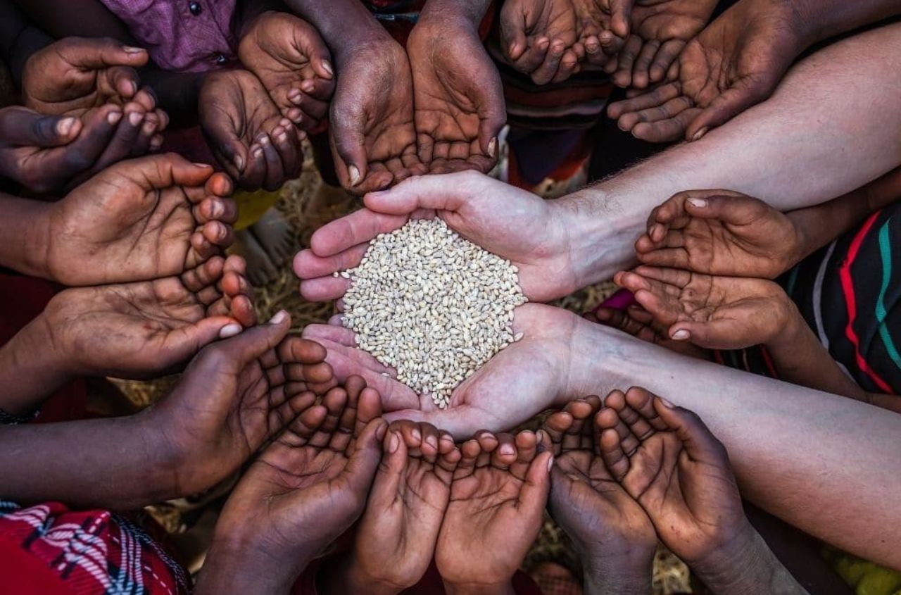 Ukraine and ACP countries deepen cooperation on food security