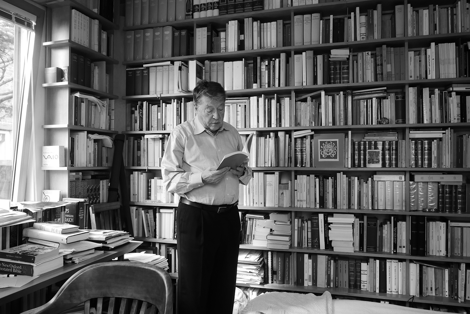 Not Just Words. Luigi Ballerini