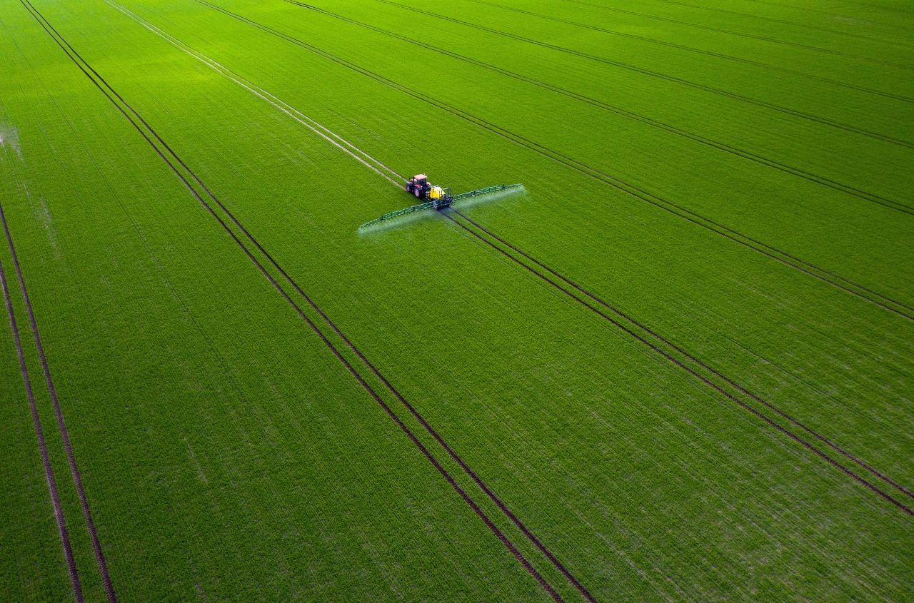 In Ukraine, 340,000 hectares of agricultural land were sold over the course of a year