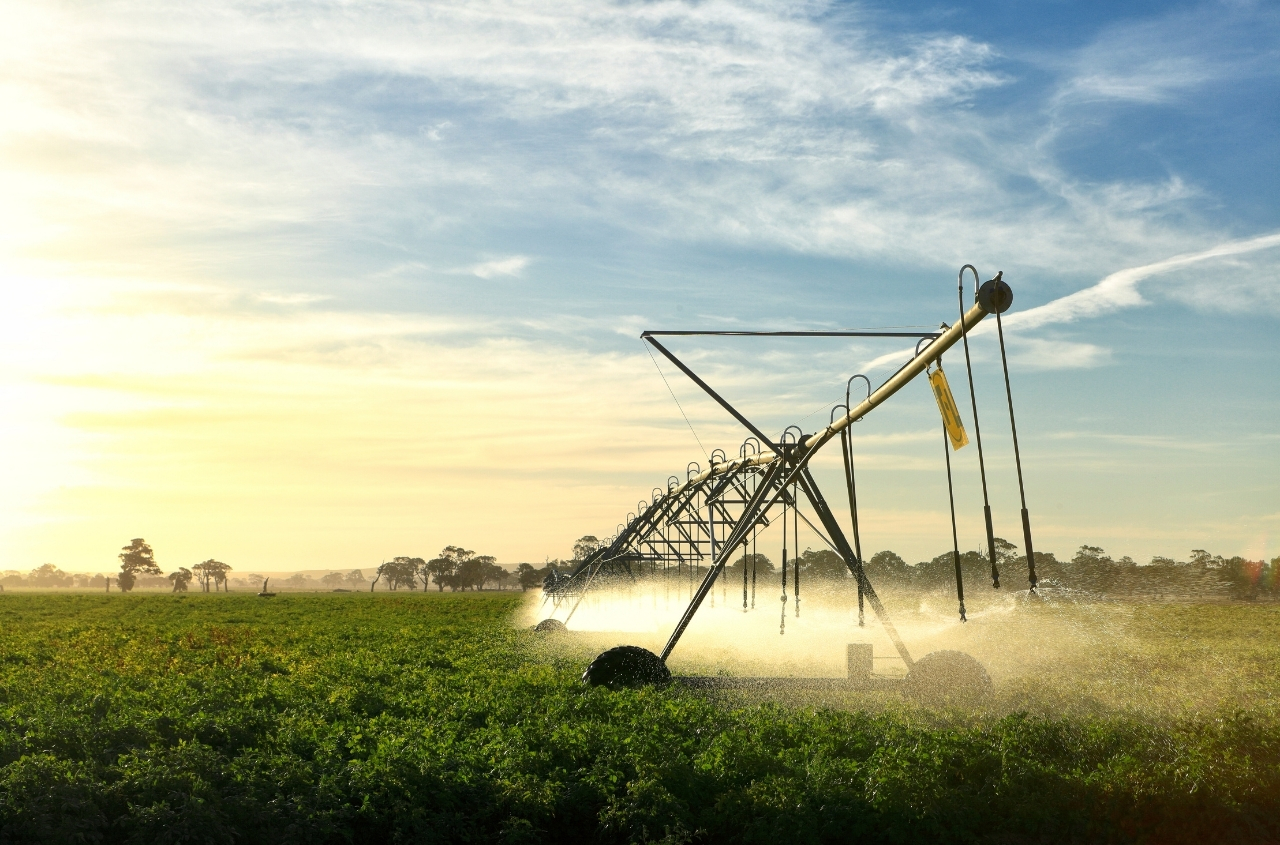 Parliament has ratified a grant agreement with Italy on the reconstruction of irrigation systems in the Odessa region