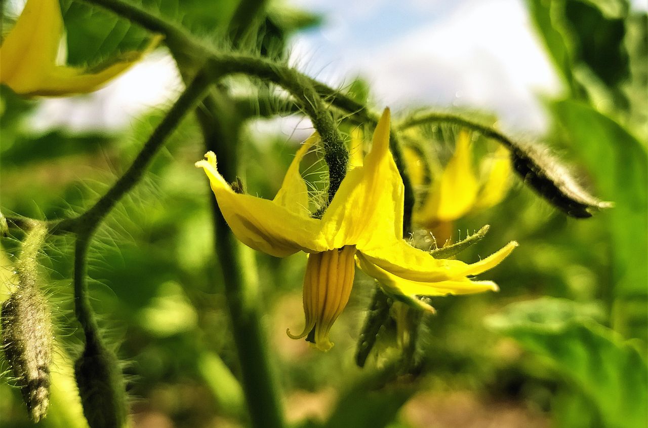 Agricultural production in Ukraine has declined by nearly 7%