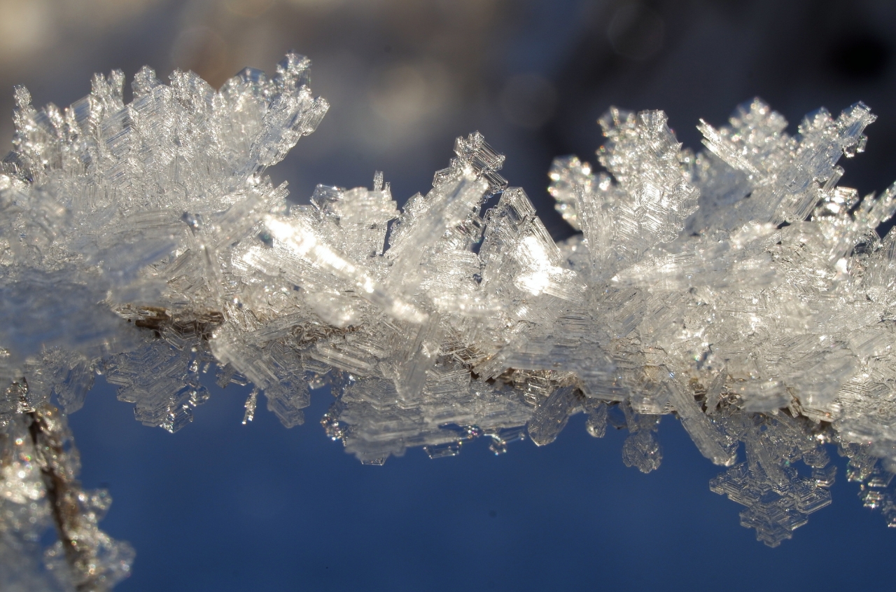Severe frosts trigger red-level danger across Ukraine