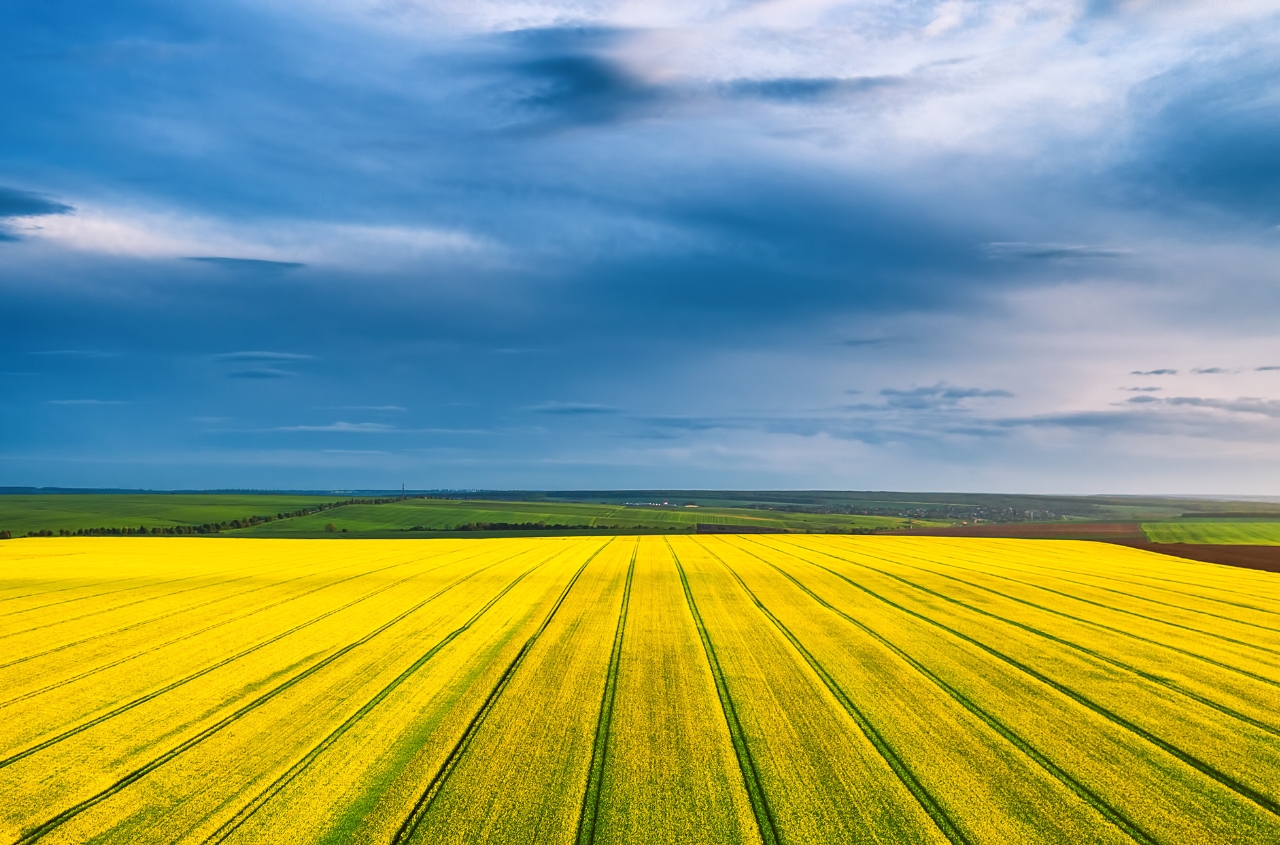 Ukraine must adapt its agricultural sector to EU standards by 2028