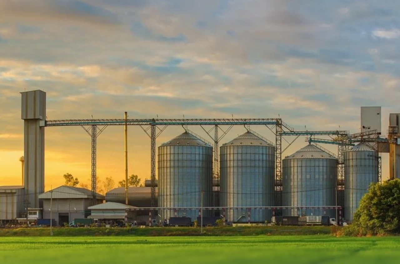 Ukraine expands global food security through “Food from Ukraine” initiative