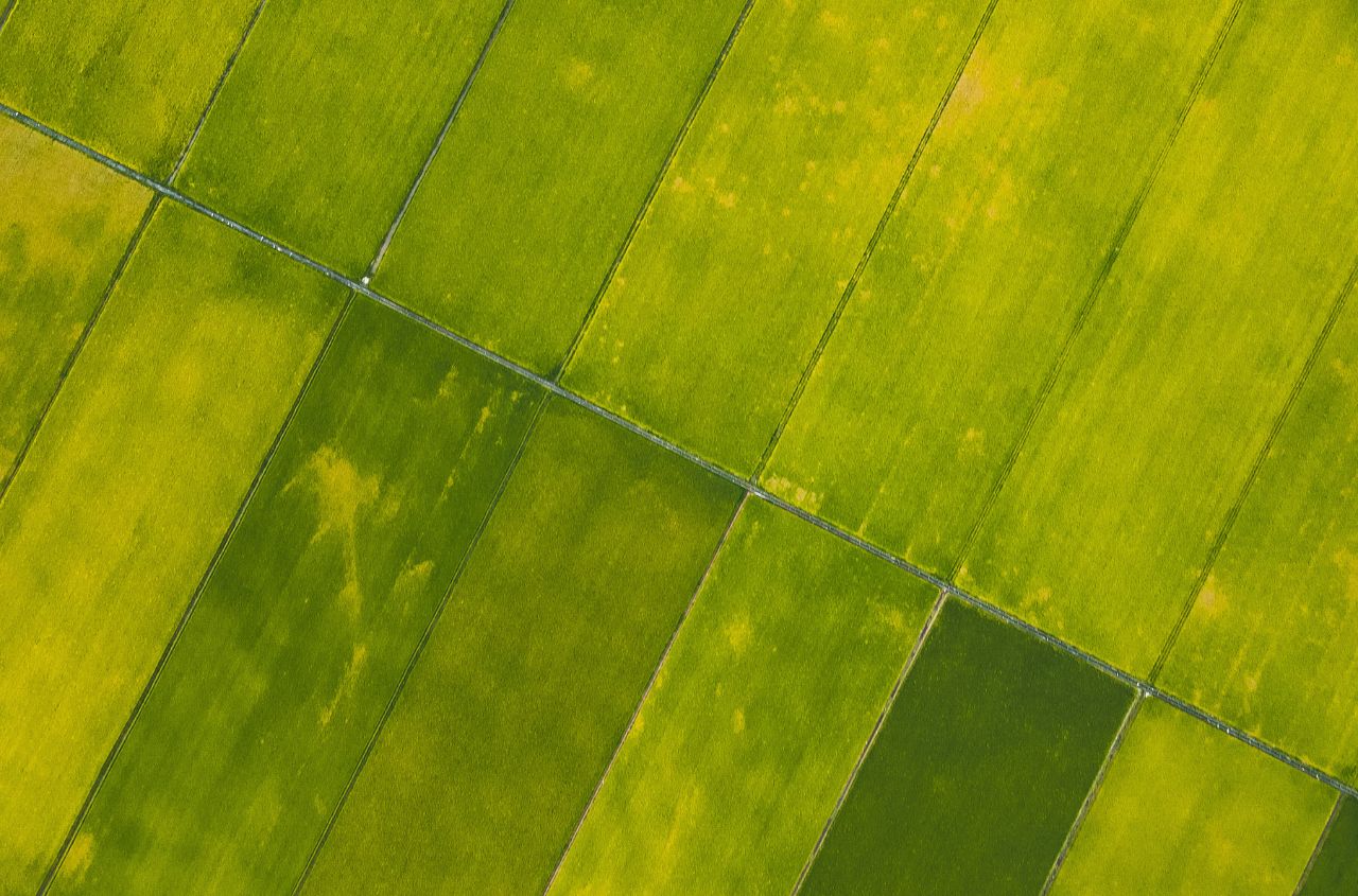 Ukraine’s agricultural land market hits 1 million hectares since 2021 reform