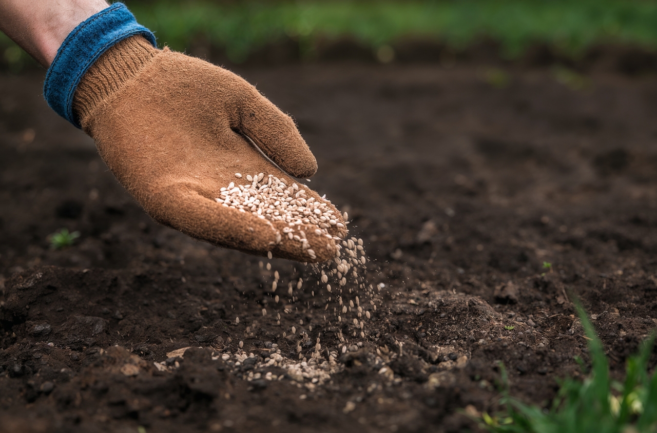 Ukrainian farmers faces sharp fertilizer price hikes due to Iran conflict
