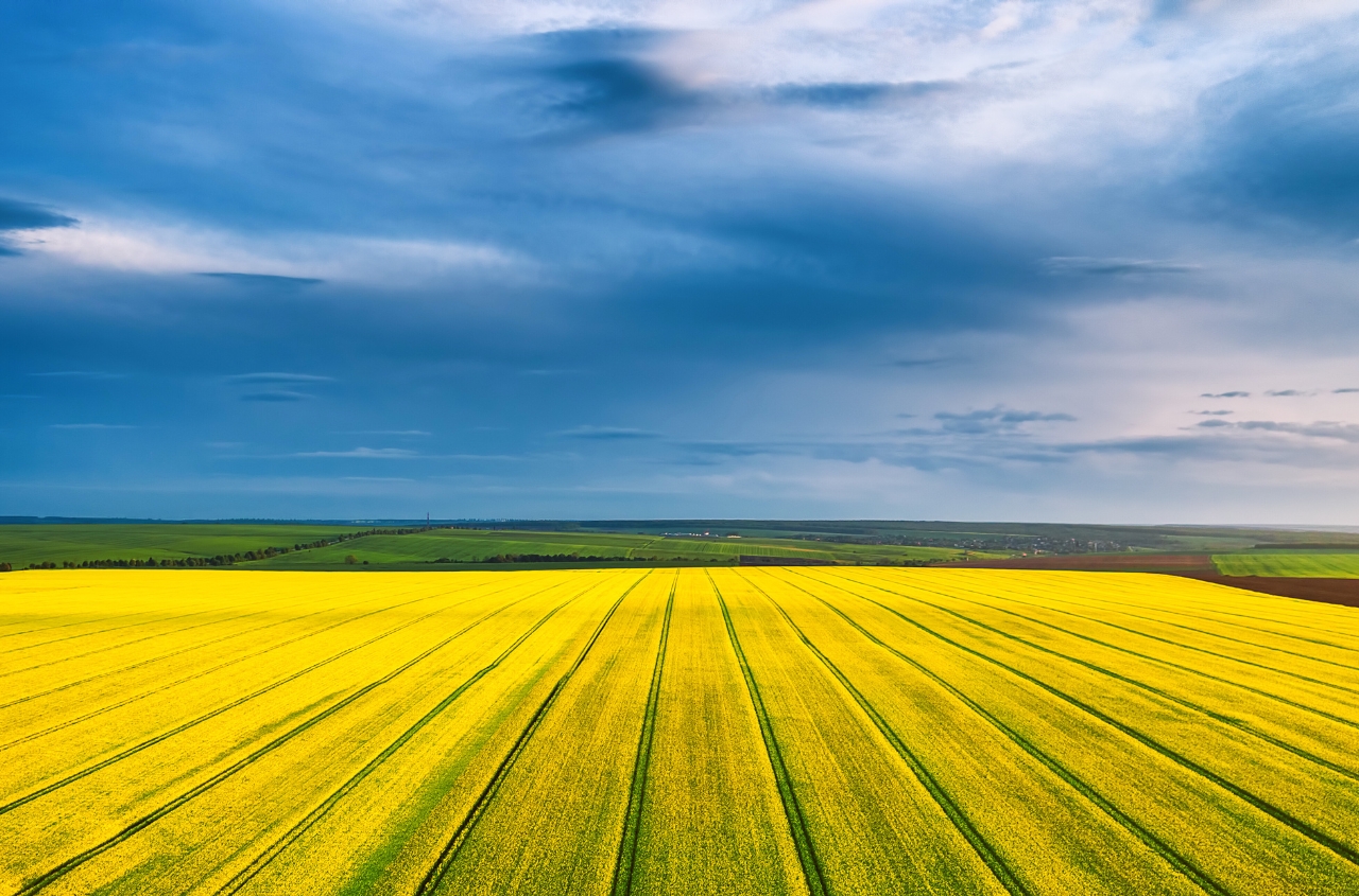 Conflict in the Middle East: How much will Ukrainian farmers’ expenses increase?