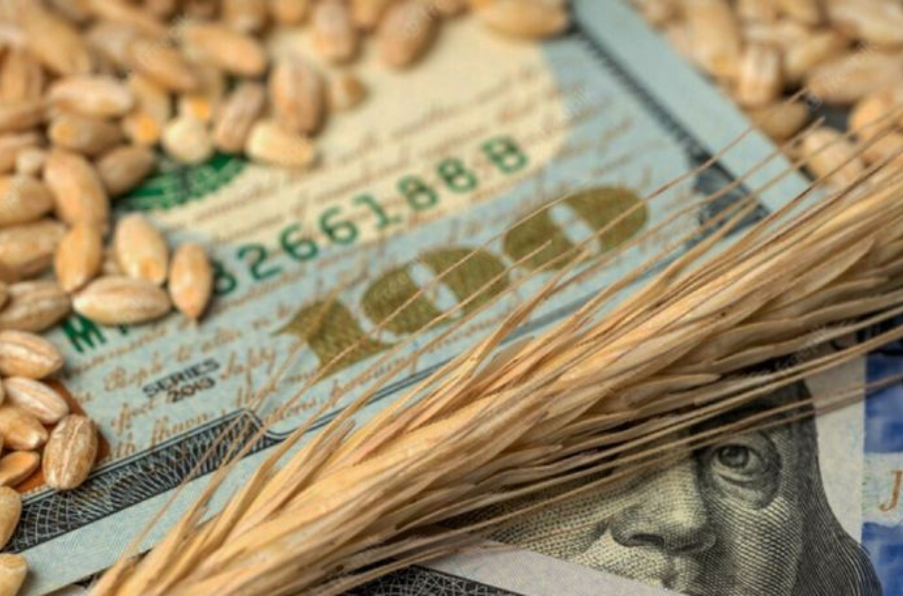 Agri-product exports in March increased by 10.8%