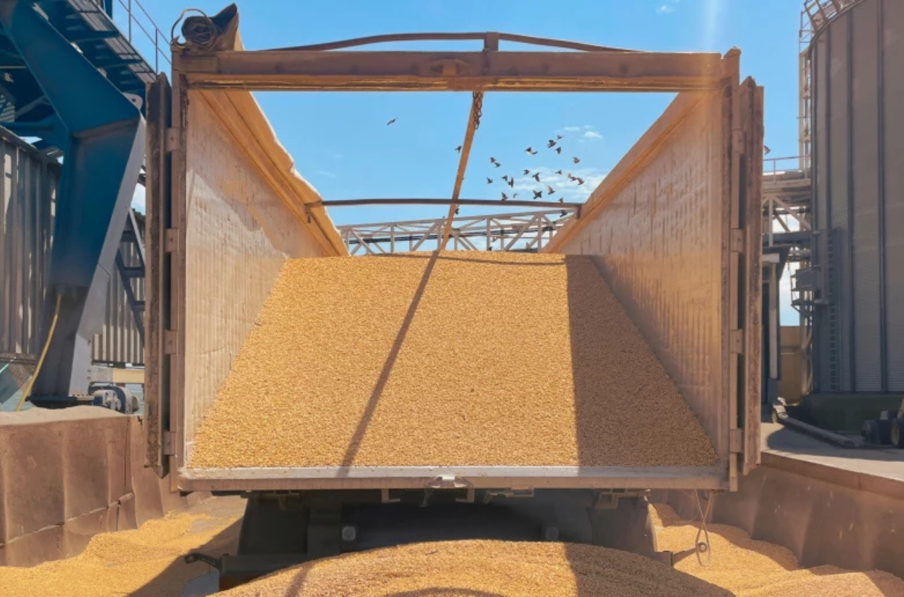 Polish fertilizer producers replace Russian supply in Ukrainian market