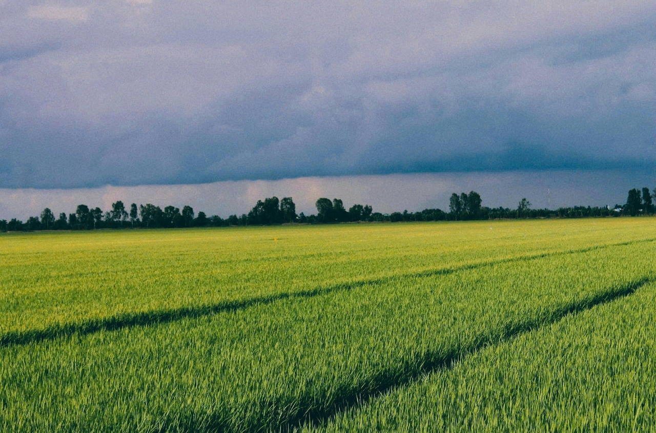 Ukraine’s EU accession to boost EU agricultural land by 25% and arable land by 31%