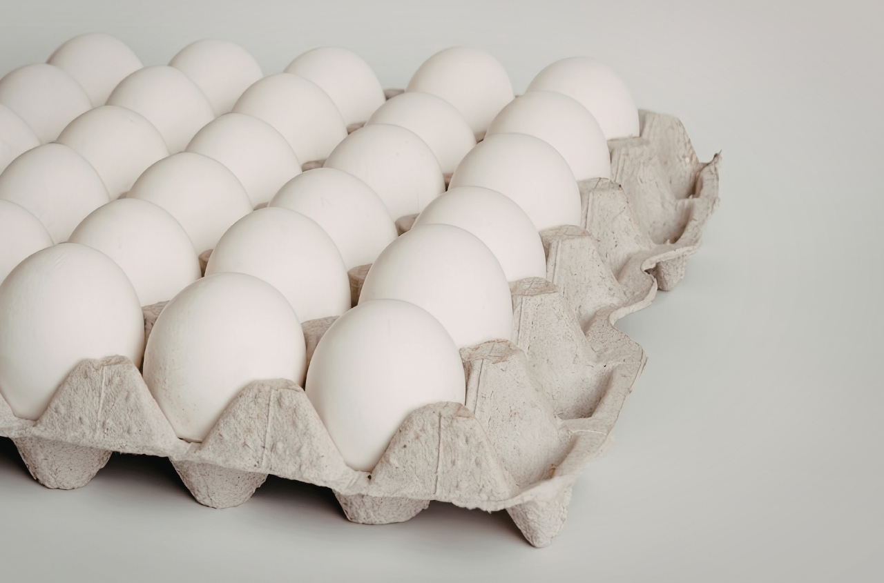 Egg exports boom: Ukraine posts record volumes and 74% revenue growth in Q1 2026