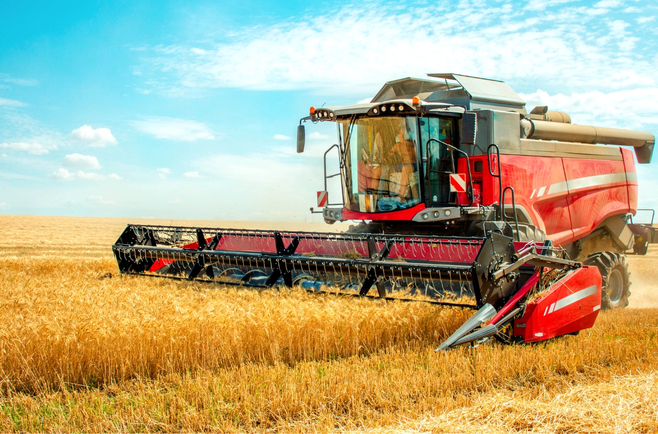 Ukraine expects 4% growth in 2026 crop output