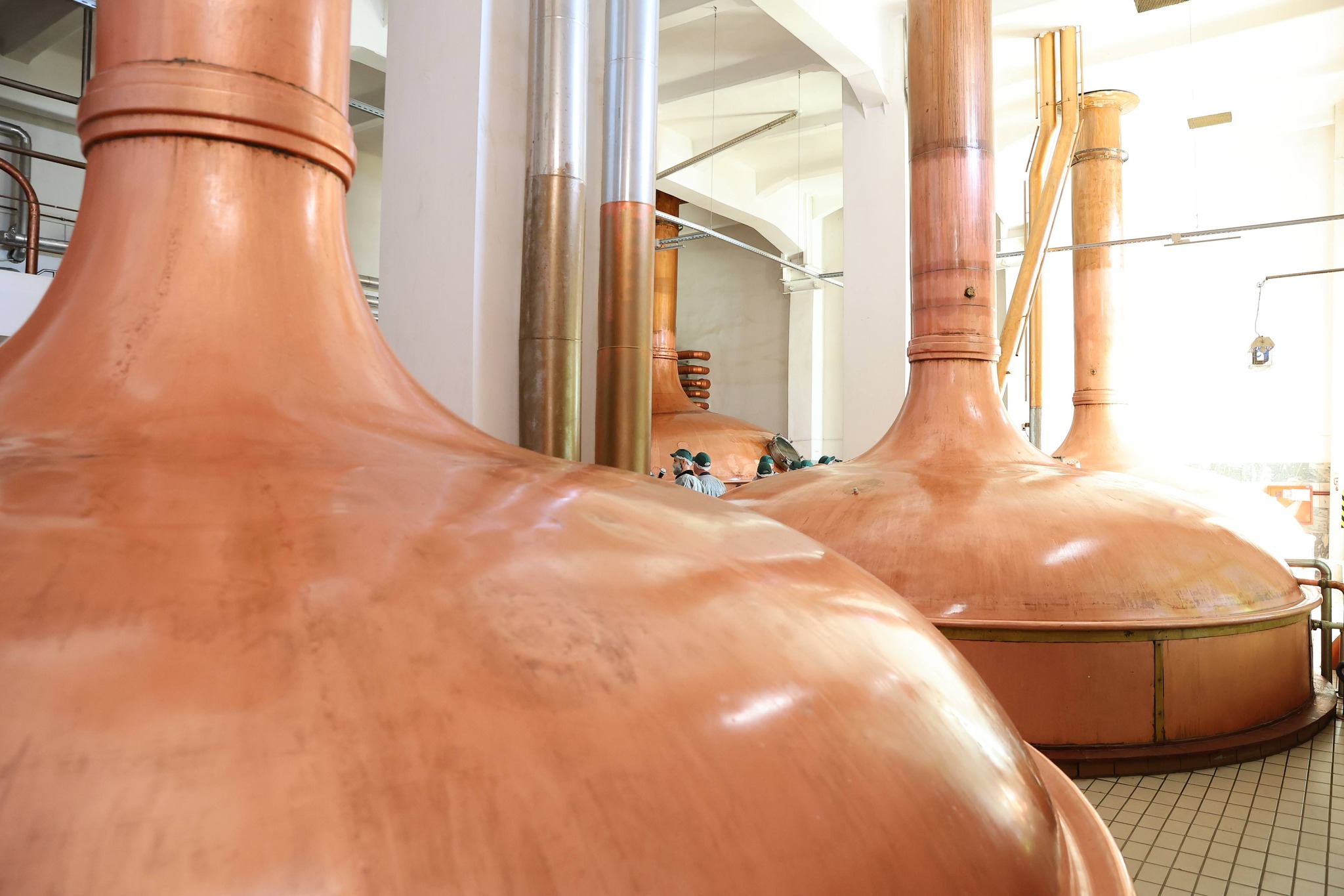 Carlsberg invests €12 million in new production line at Lviv Brewery