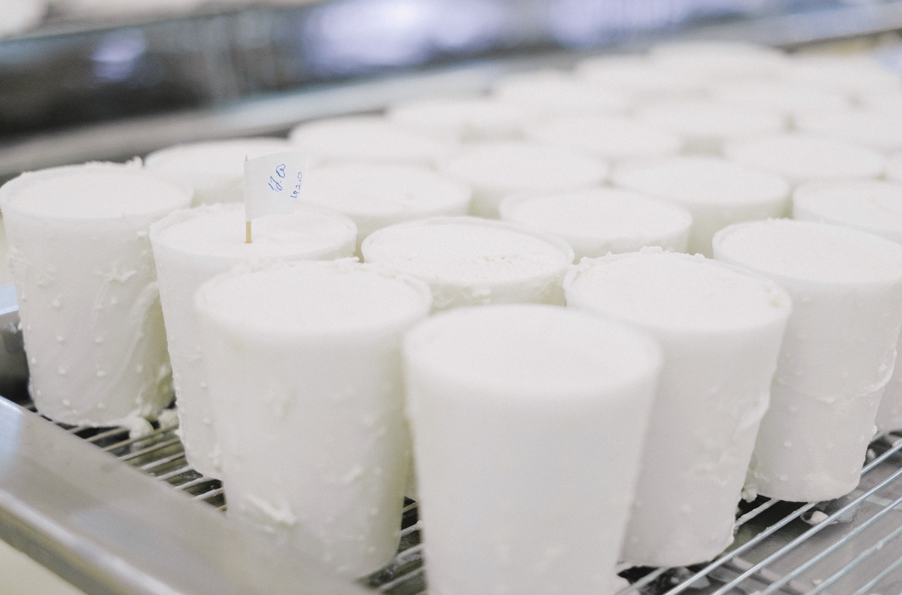 Ukrainian dairy industry receives plan for adaptation to EU Standards