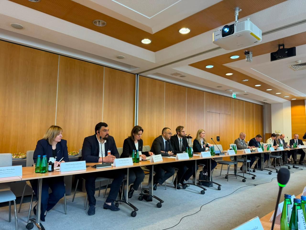 Ukraine’s agrisector needs transition period for EU integration