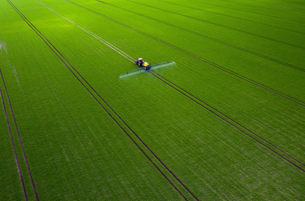 Agricultural output in Ukraine increases year-on-year
