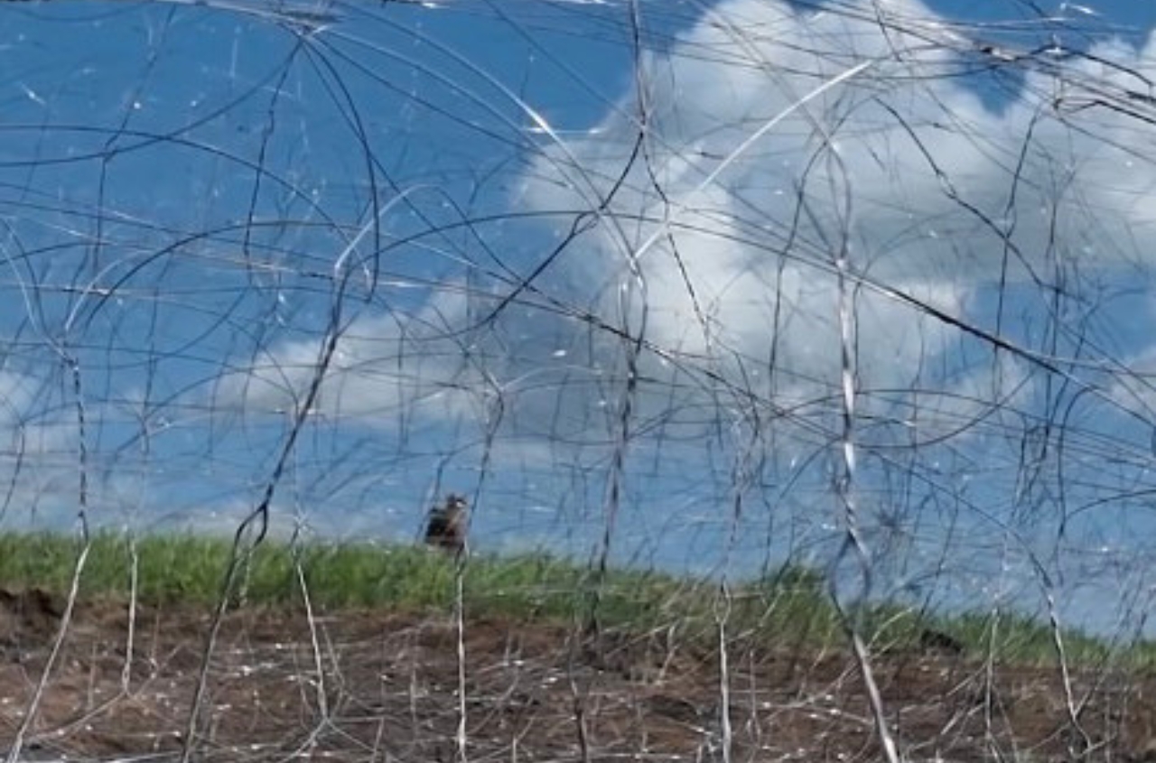 Odessa nears completion of defensive fortifications around city
