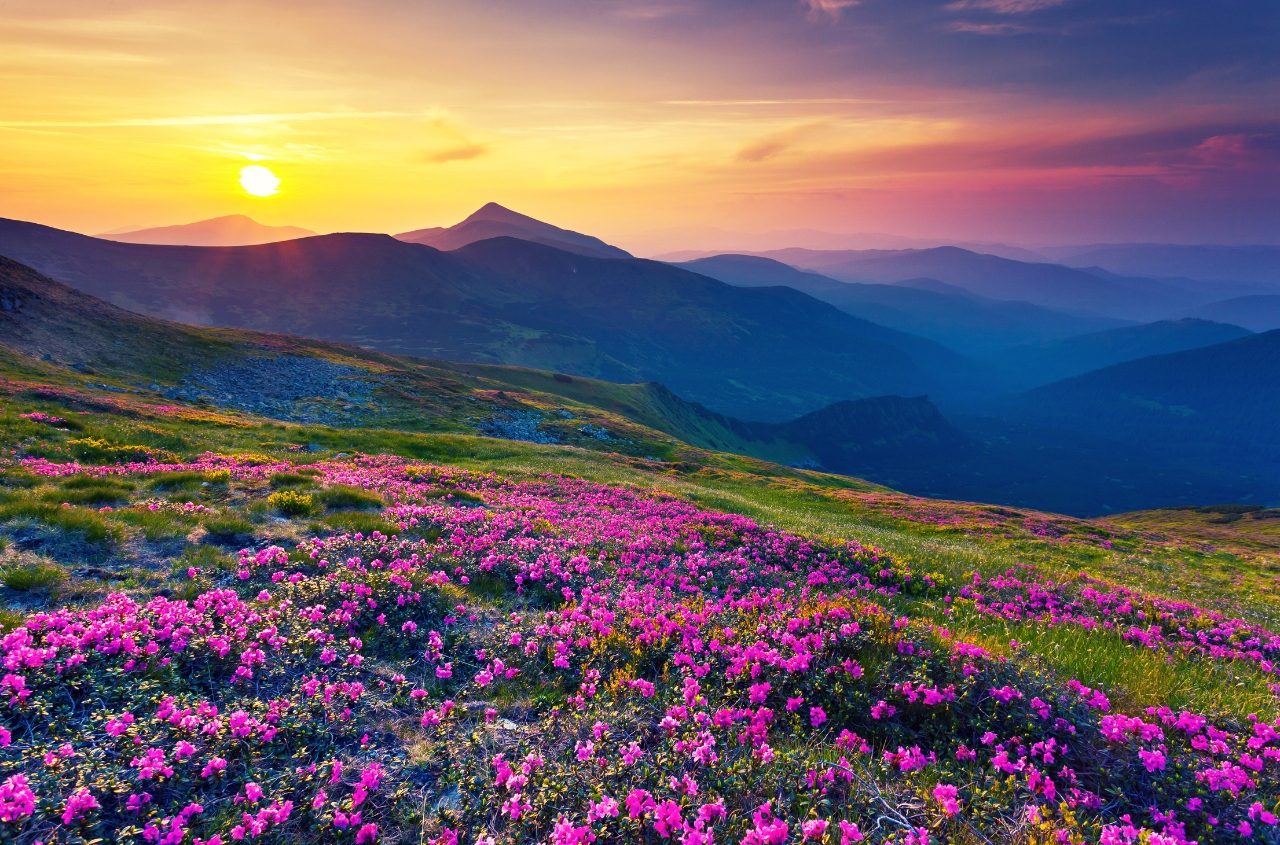 Ukraine prepares new Carpathian Integration Forum