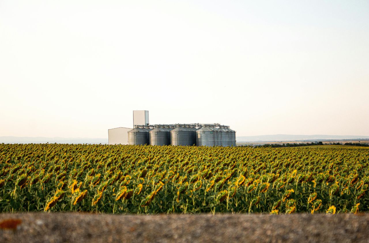 IGC Grains Conference 2026: Ukraine moves from exporting grain to value-added goods