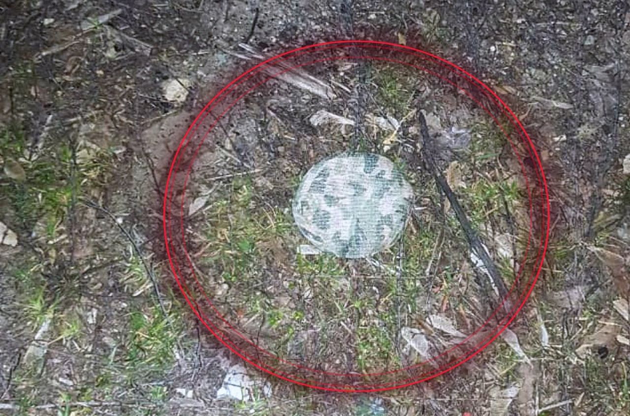 Dangerous 'pryanyk' mines found in Kherson region village