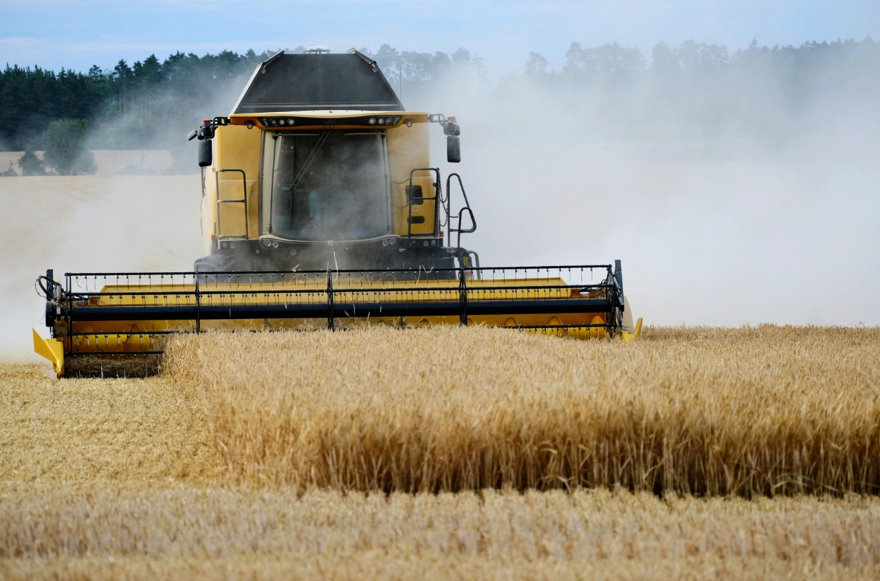 Russia faces grain harvest losses due to diesel fuel shortages