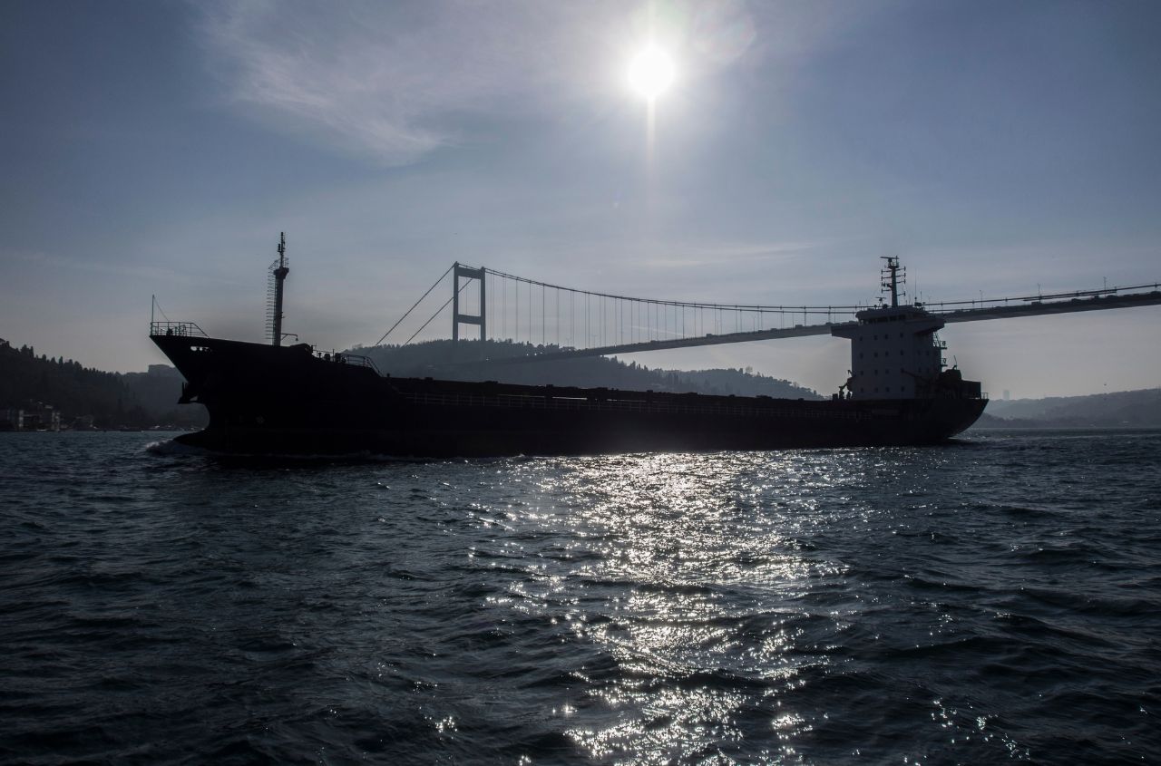 Turkey tightens phytosanitary controls on wheat imports from Aug. 4