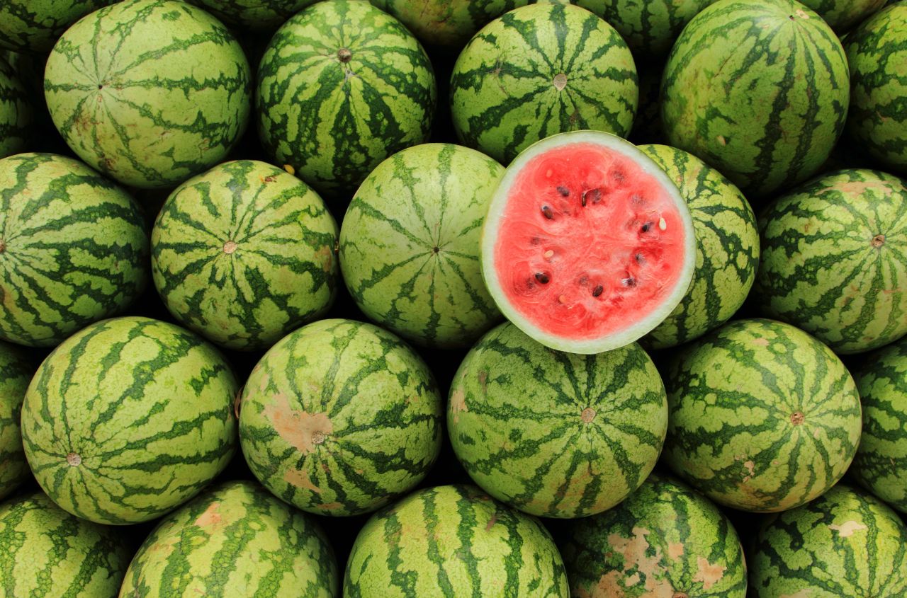 Kherson region expects 25,000-tonne melon and watermelon harvest