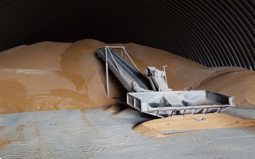 Danube freight rates soar as Ukraine's grain exports face rising costs