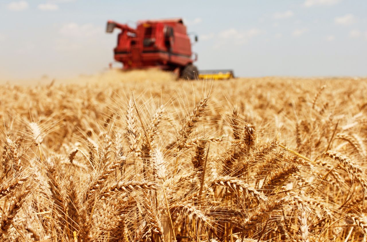 USDA raises Ukraine grain production forecasts but cuts export outlook