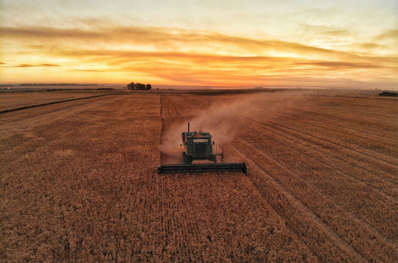 Moldova reviews restrictions on Ukrainian grain imports