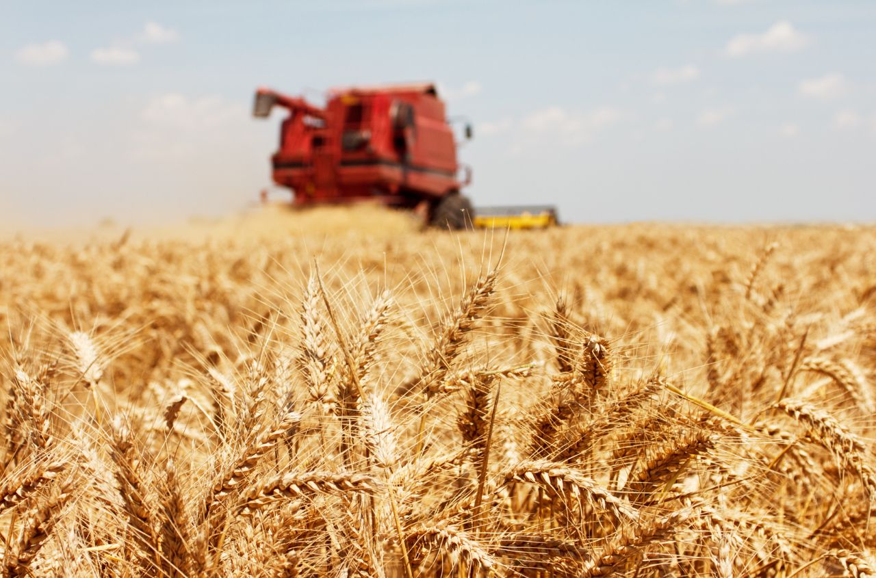 USDA raises Ukraine wheat harvest forecast to 26 million tonnes