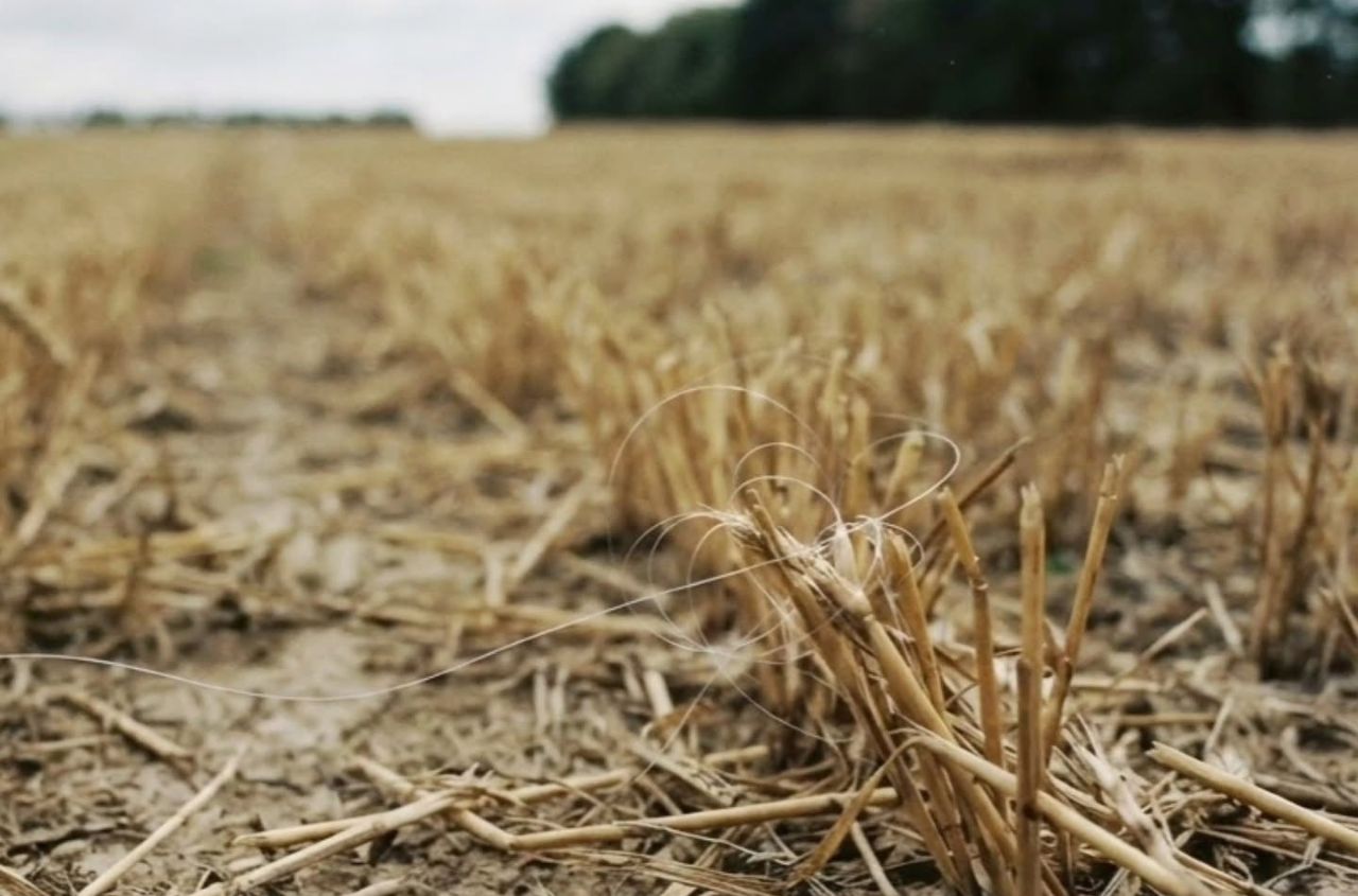 Kherson faces new environmental threat from 500,000 km of drone cable