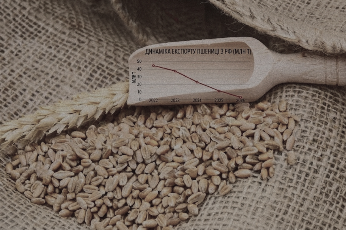 Foreign Intelligence Service: Russian wheat buyers fall from 26 countries to just 8