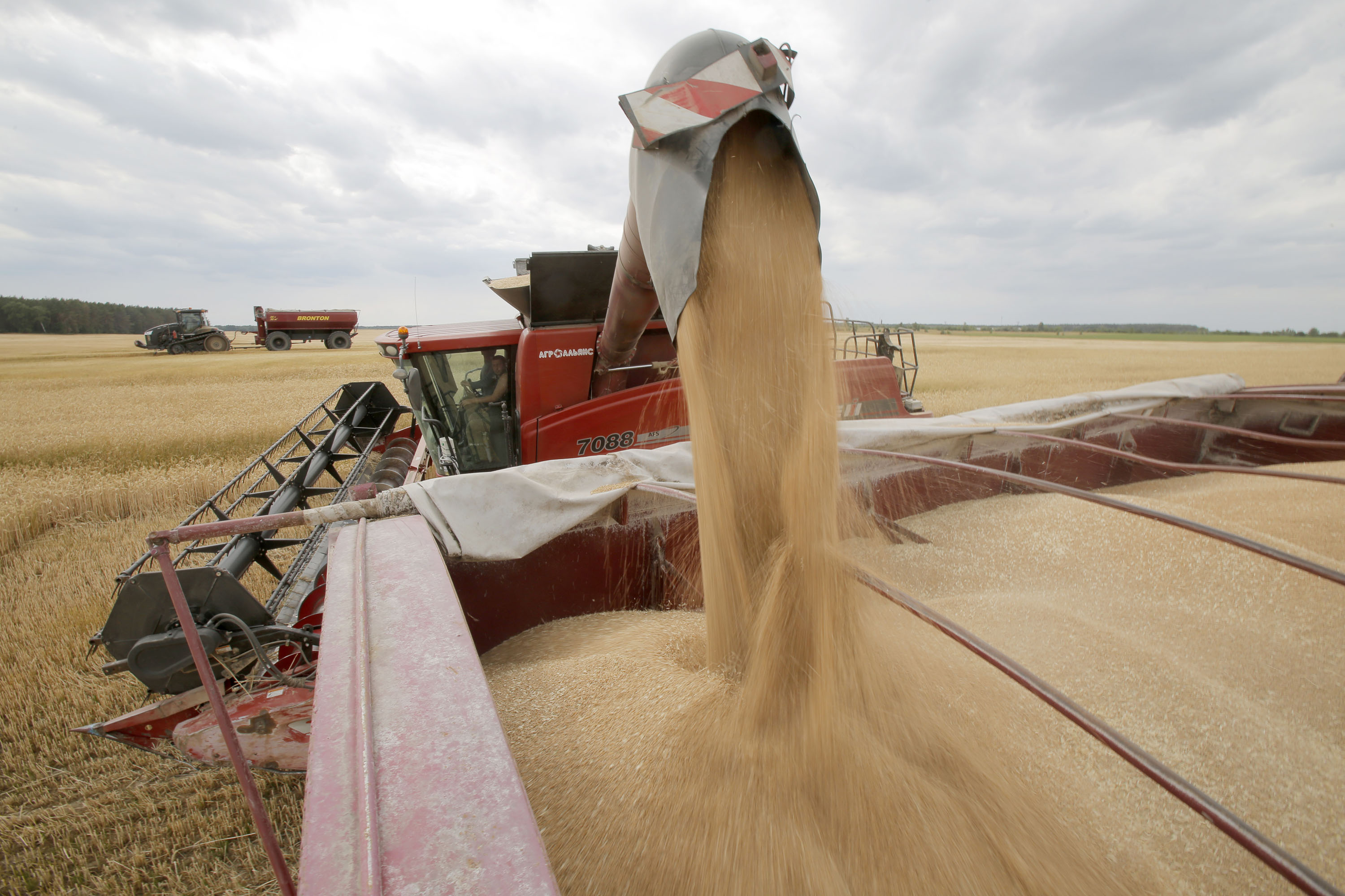 Ukraine exports 2.4 million tonnes of agricultural products in September