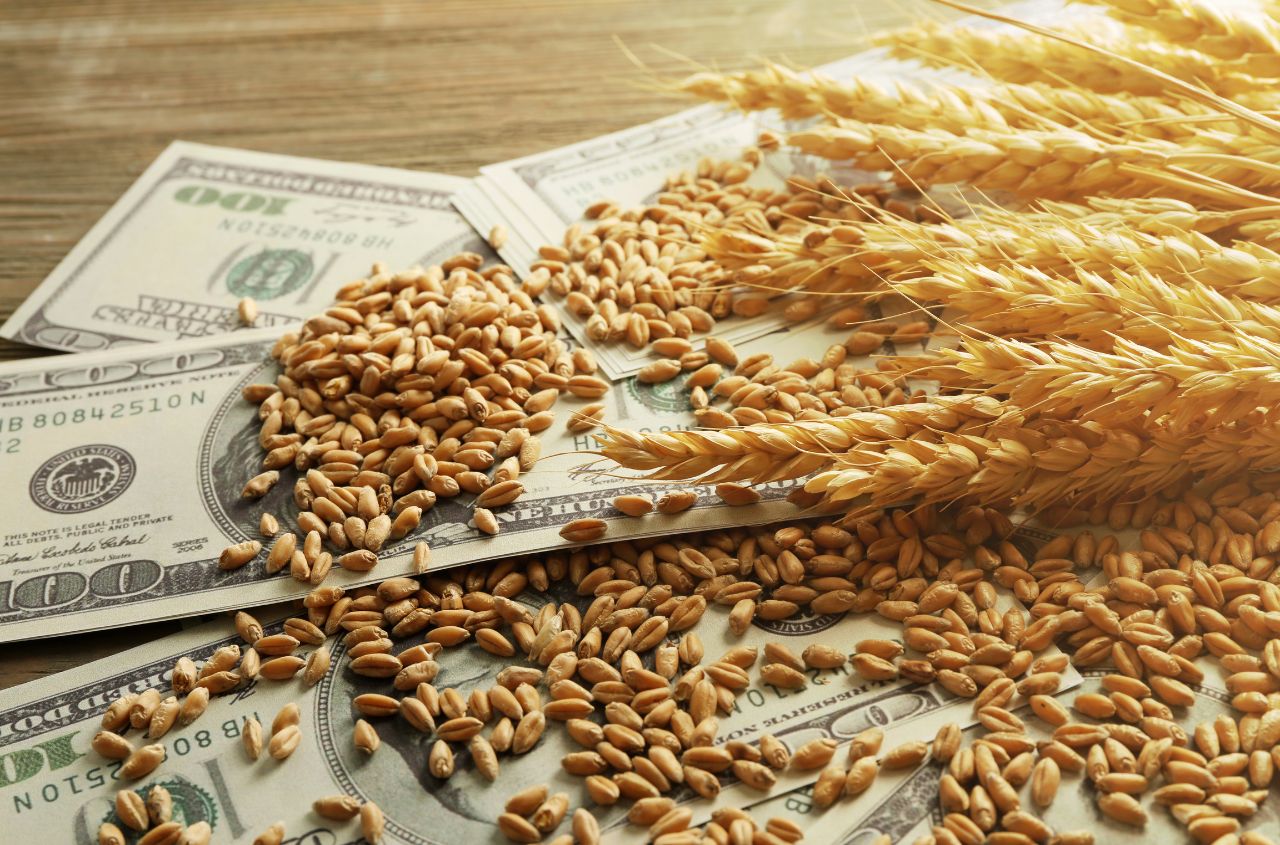 Ukraine’s agricultural exports jump 41.5% in September