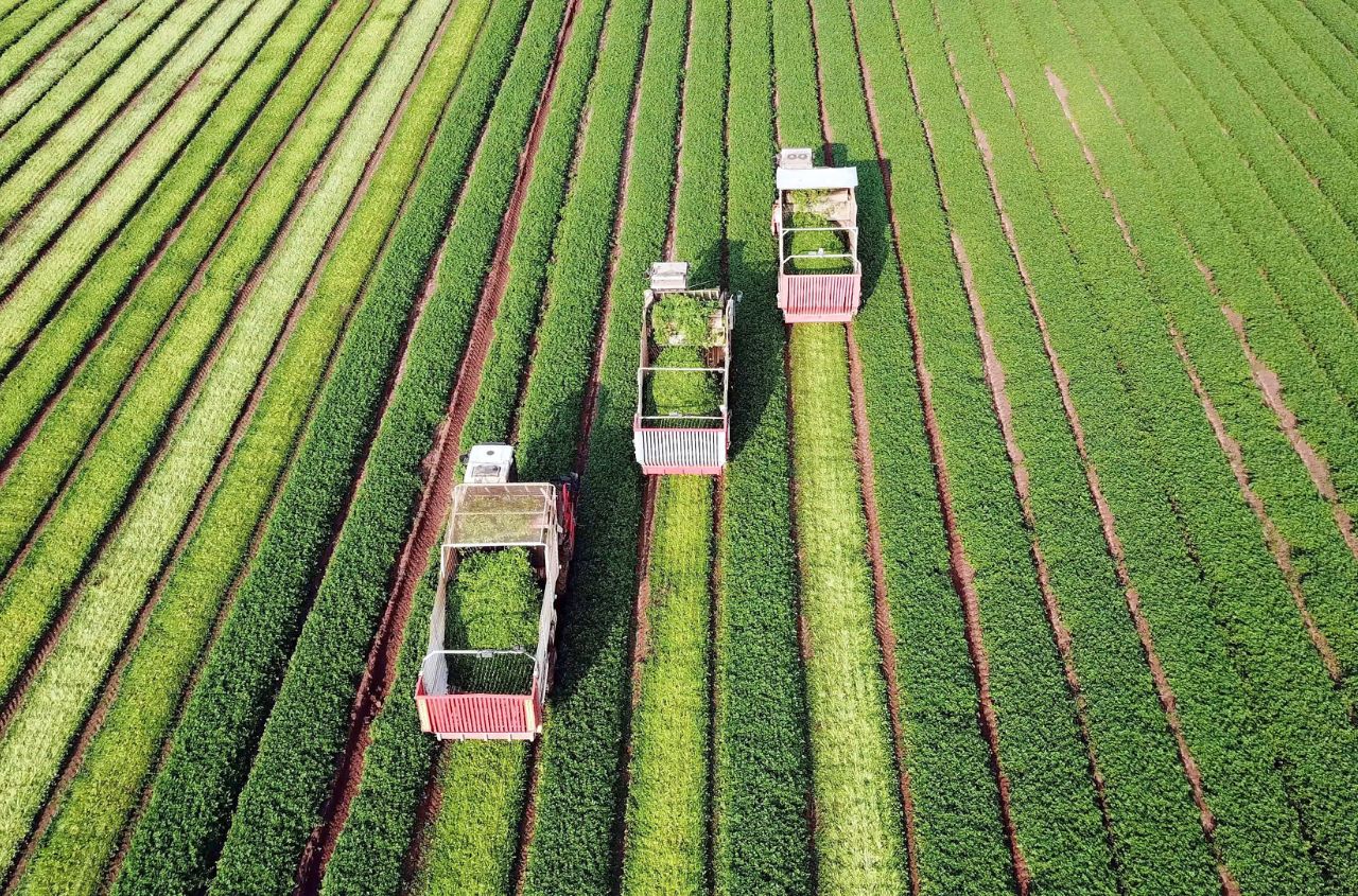 Ukrainian farmers urge EU to develop a joint agricultural model instead of imposing new restrictions